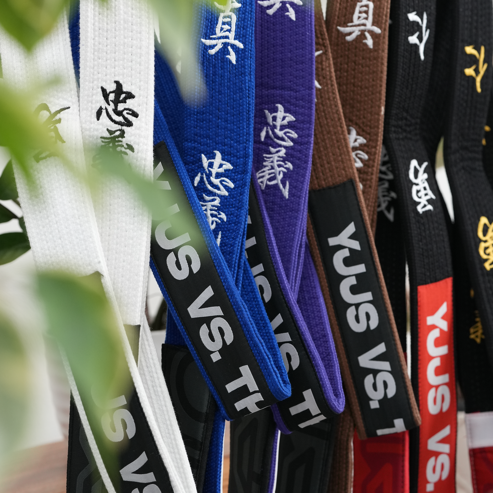 YJJS SELECT SERIES IV (White)