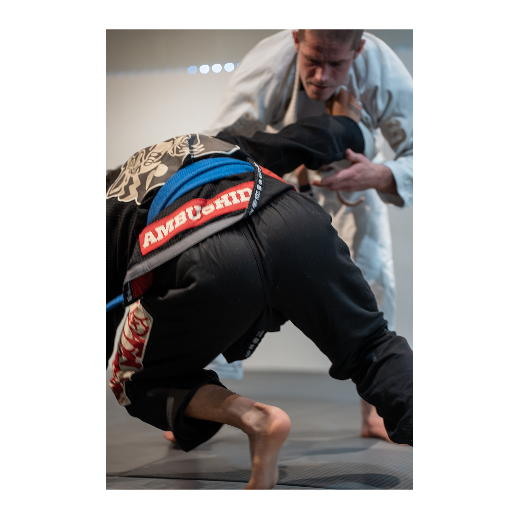 DOGI 042/ Ambush 450G (Black)