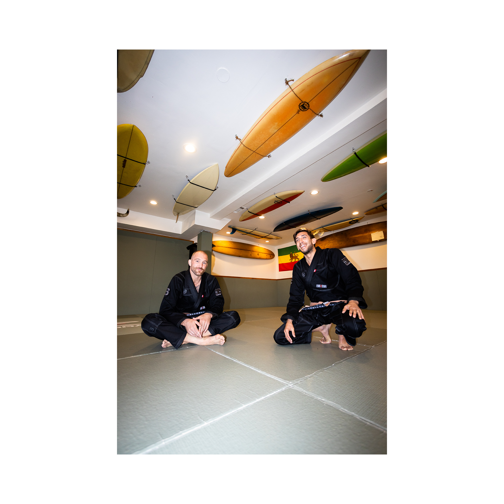 DOGI 033/ Monotones 450G (Grafight)