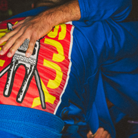 DOGI 063/ SNS Royals 450G (GOLDS24)