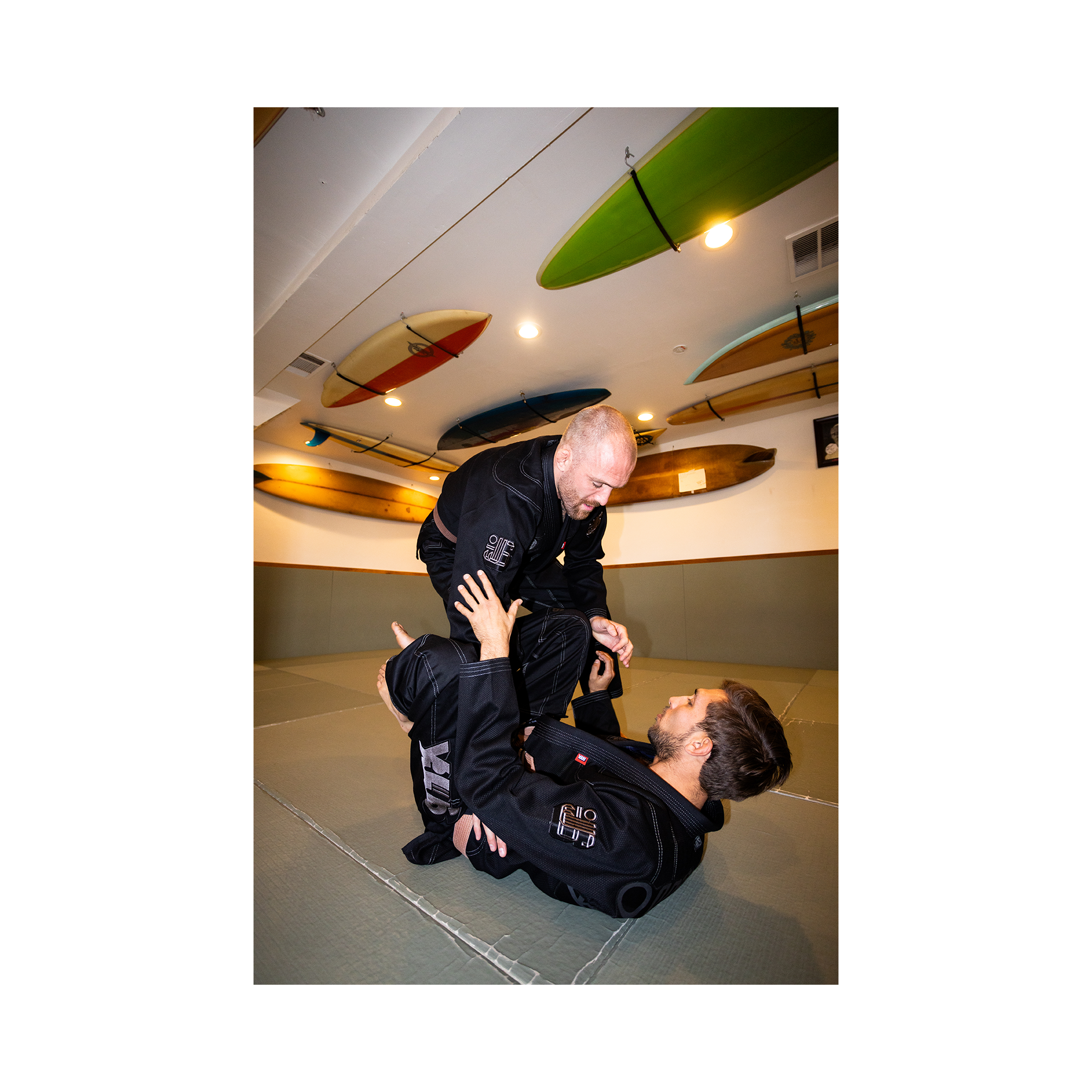 DOGI 033/ Monotones 450G (Grafight)