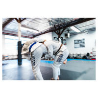 DOGI 045/ PRATA 450G (White)