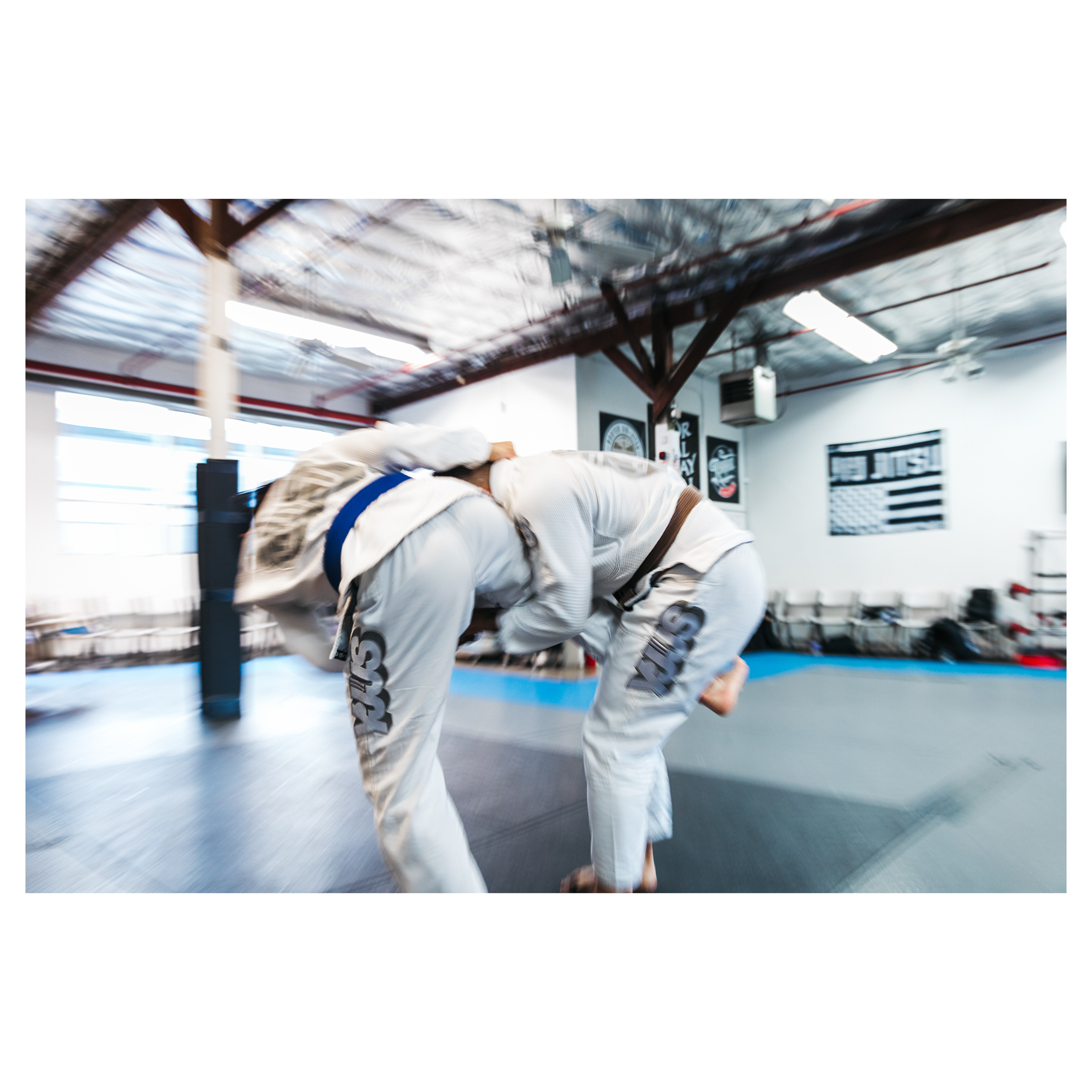 DOGI 045/ PRATA 450G (White)