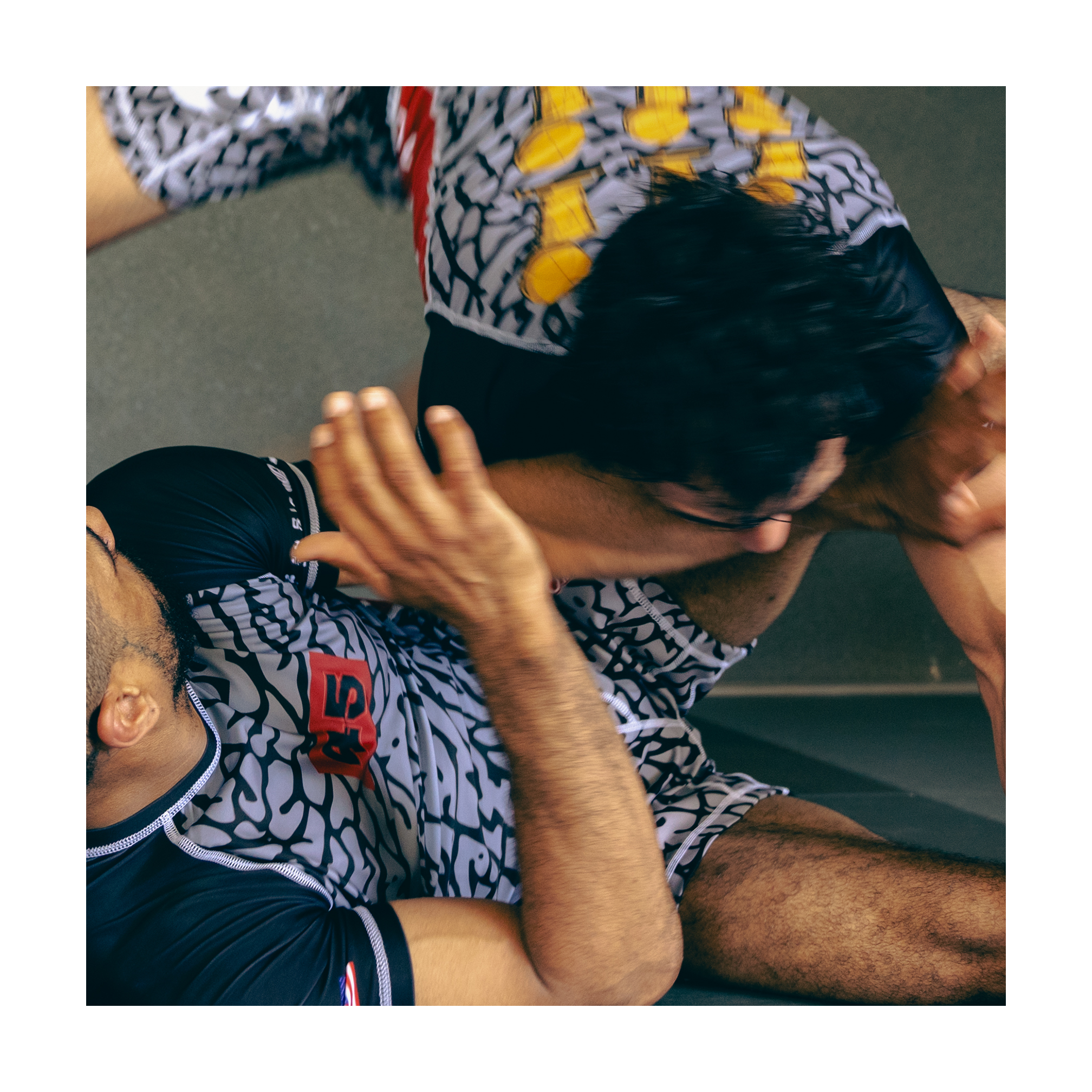 Six Rings Rashguard (Elephant)