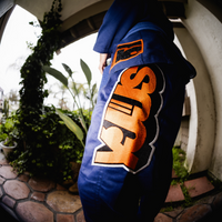 DOGI 062/ SAFARI MAX PW 450G (GOLDS24)