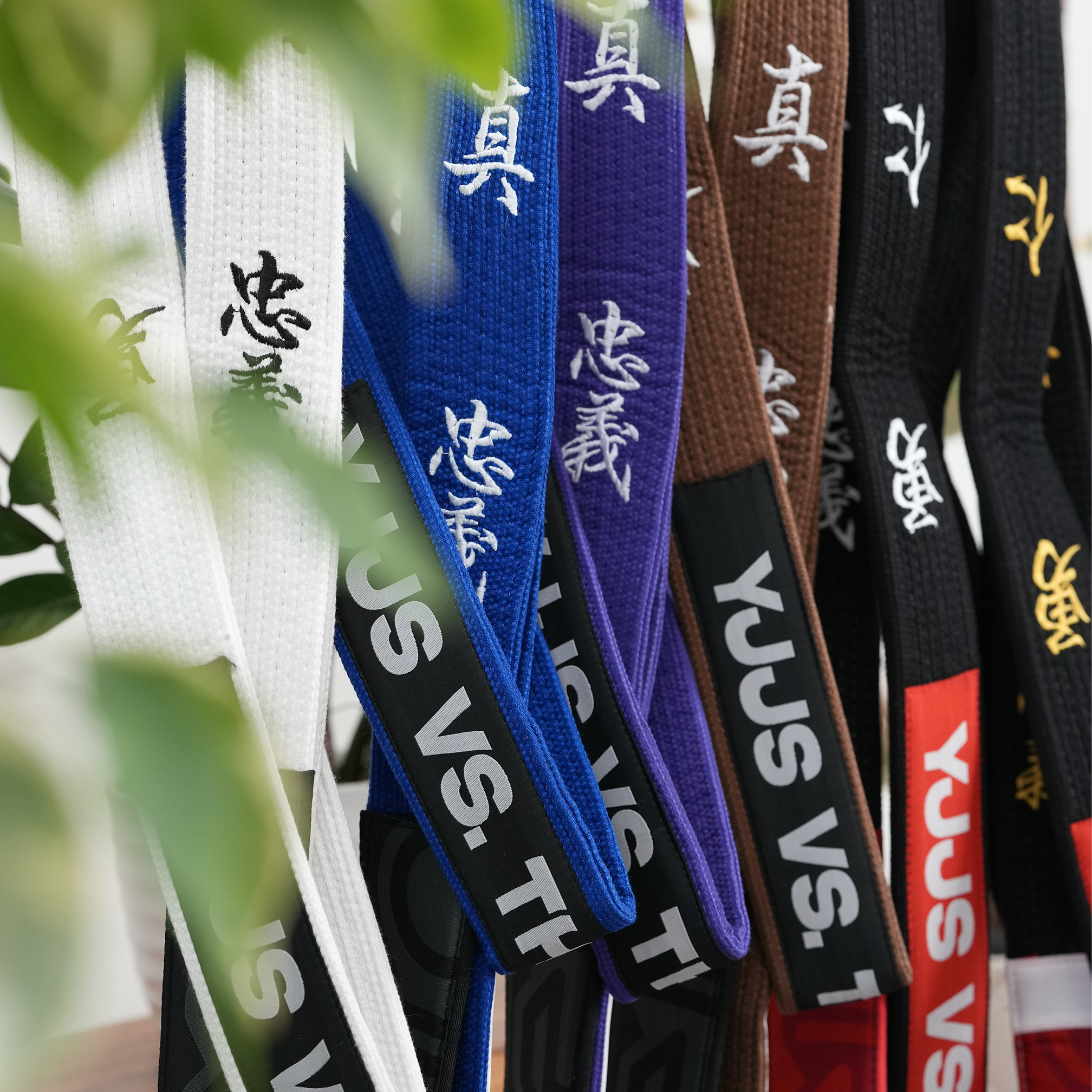 YJJS SELECT SERIES IV (White)