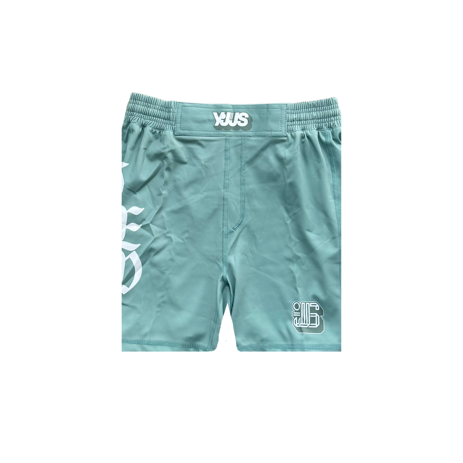 Y.V.T.W Training Shorts (Seafoam)