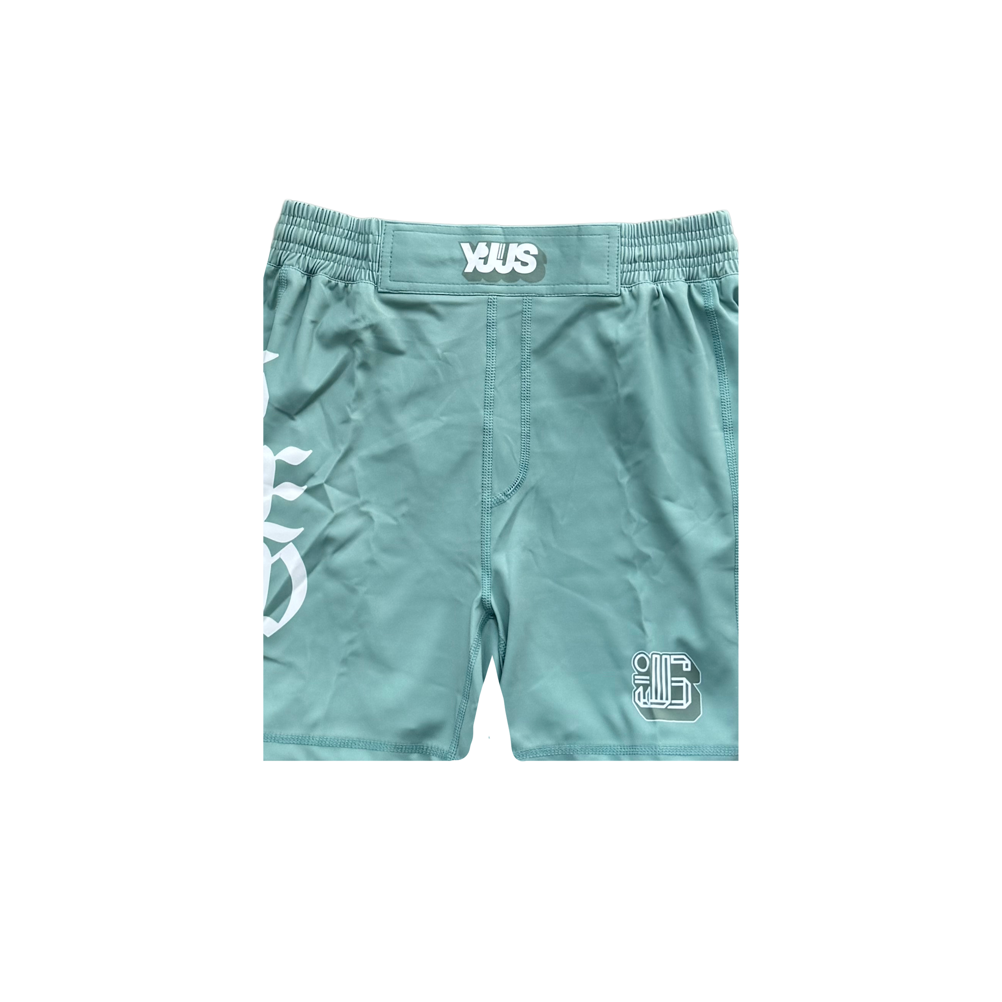 Y.V.T.W Training Shorts (Seafoam)