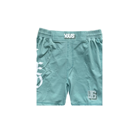 Y.V.T.W Training Shorts (Seafoam)