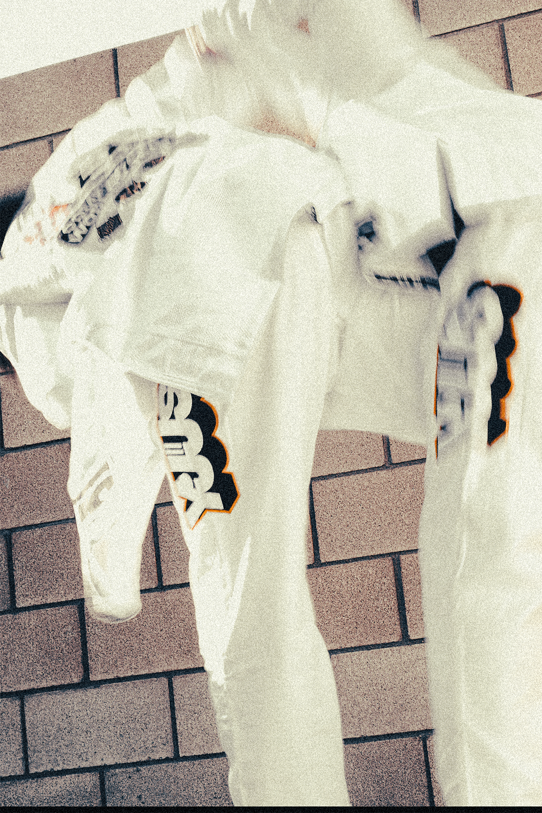 DOGI 072/ COMP26 450G (RARES36)