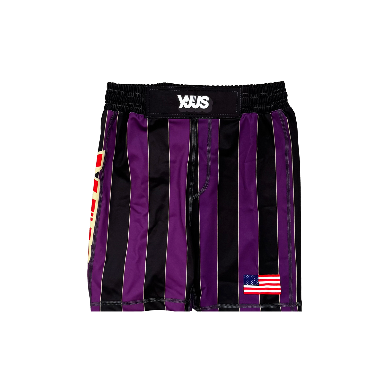 F.N.O. Training Shorts (Purple)