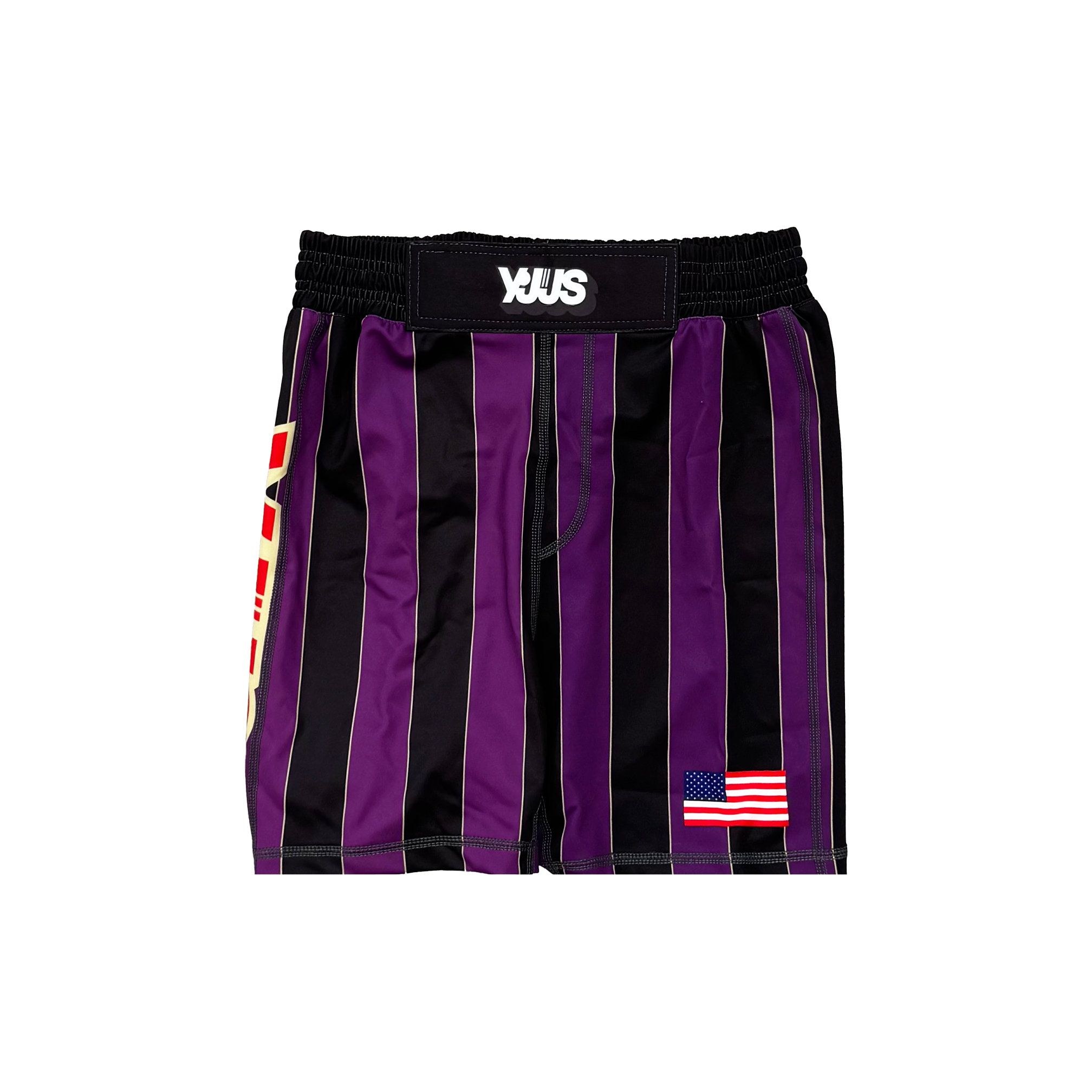 F.N.O. Training Shorts (Purple)