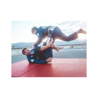DOGI 027/ Deep Sands (Navy)