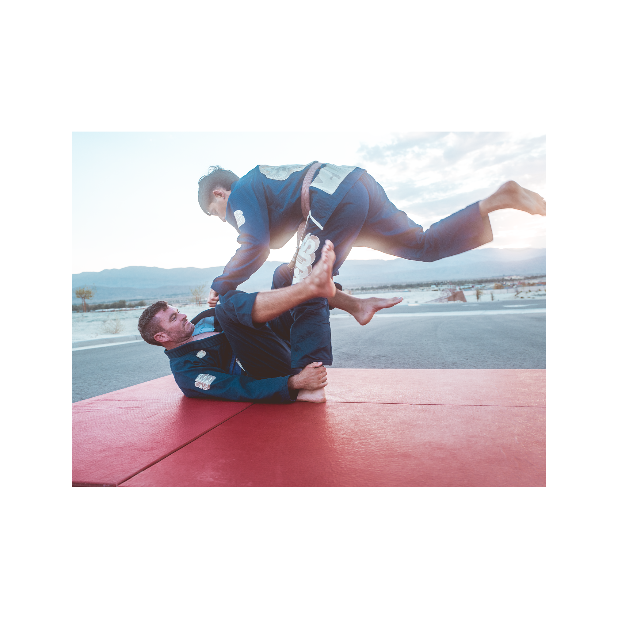 DOGI 027/ Deep Sands (Navy)