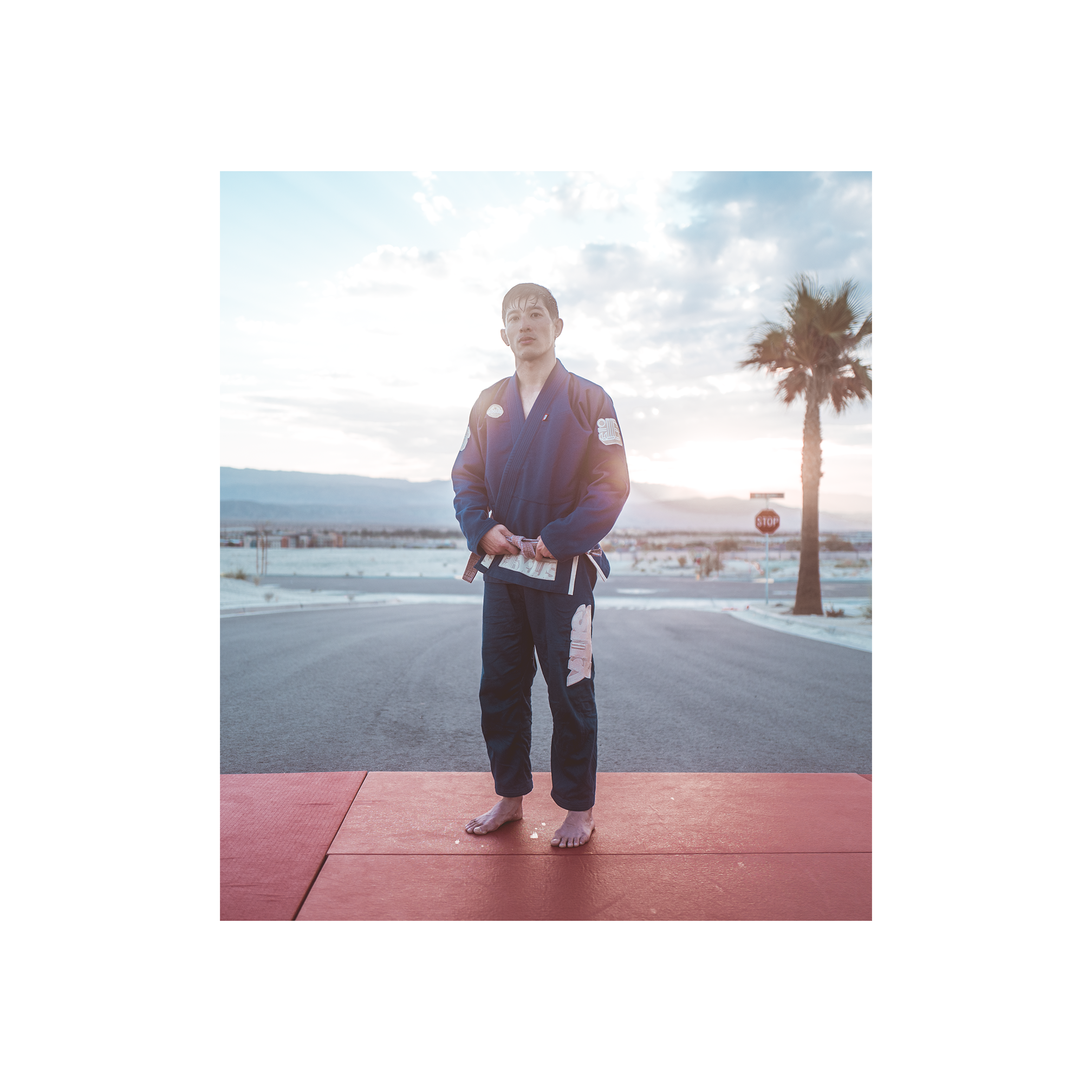 DOGI 027/ Deep Sands (Navy)