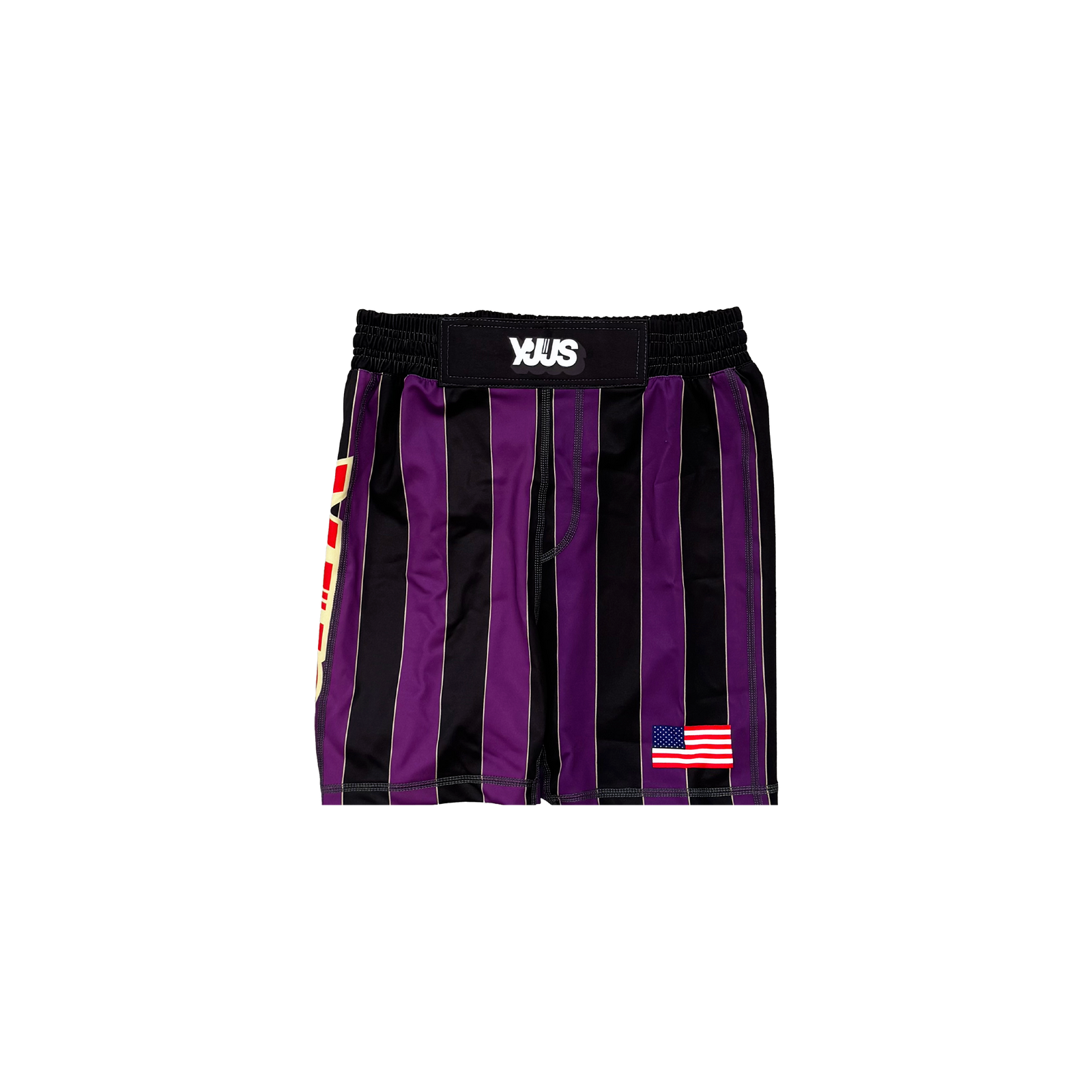 F.N.O. Training Shorts Youth (Purple)