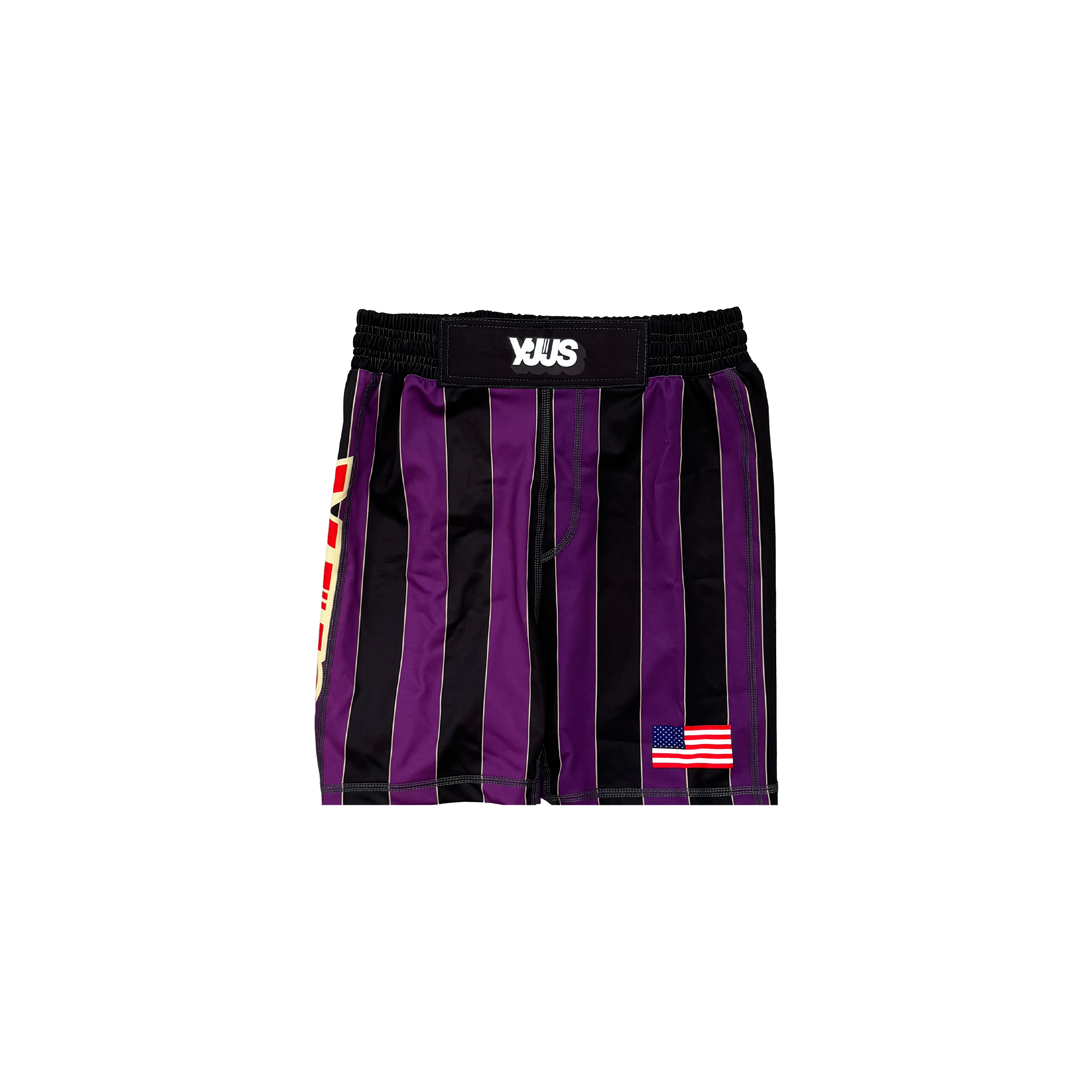 F.N.O. Training Shorts Youth (Purple)