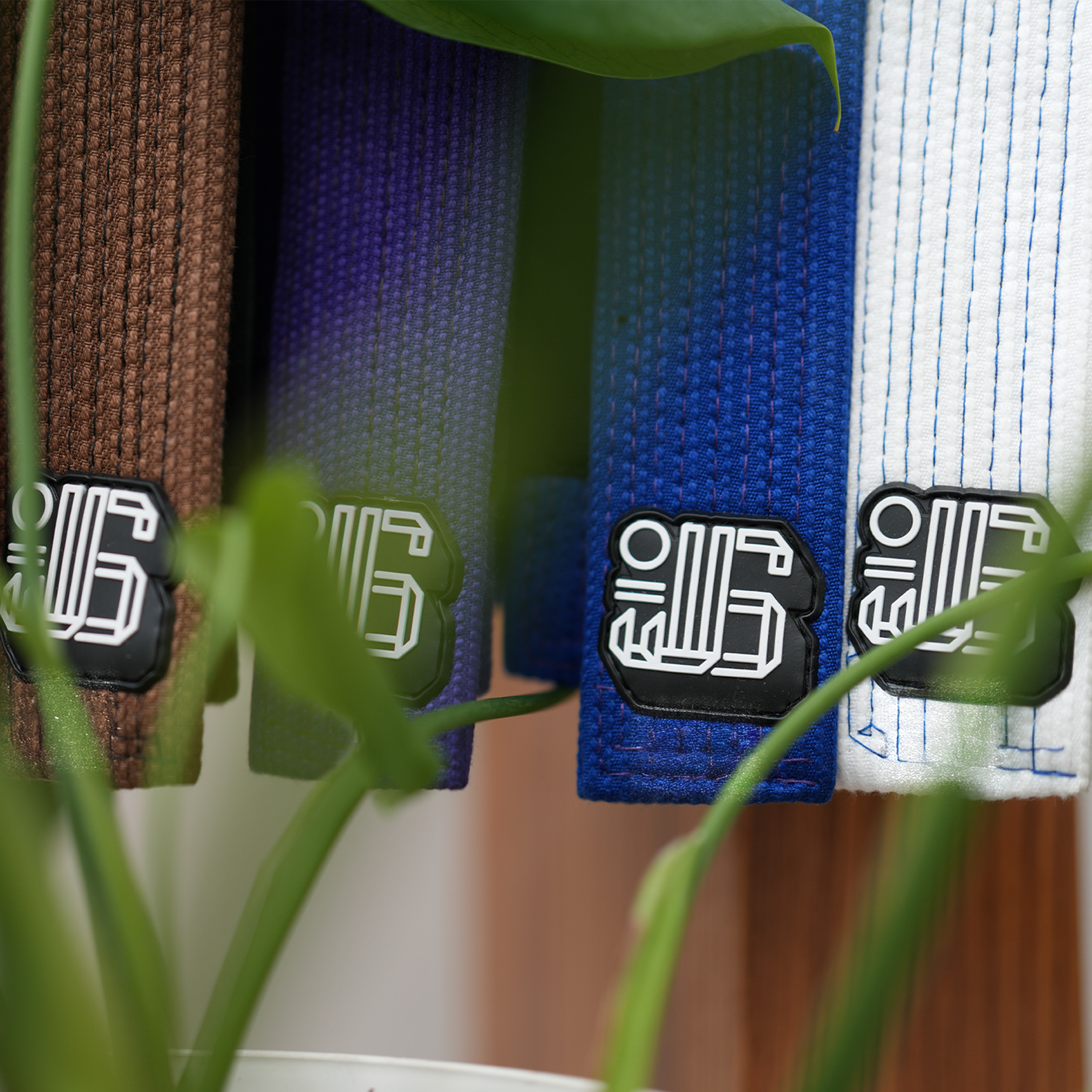 YJJS SELECT SERIES III (Blue)