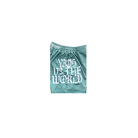 YOUTH Y.V.T.W Training Shorts (Seafoam)