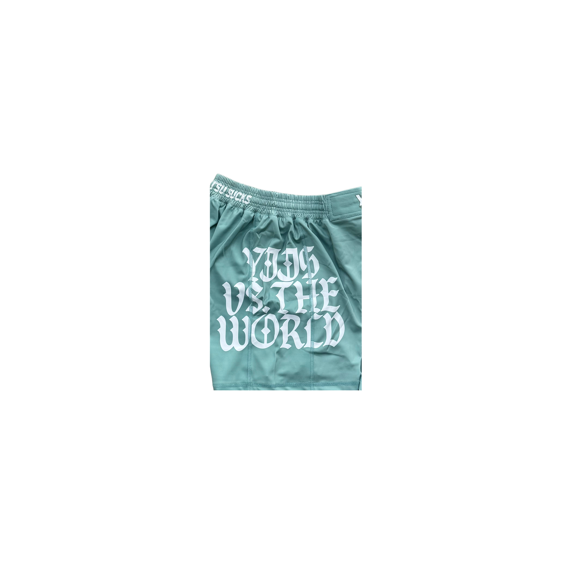 YOUTH Y.V.T.W Training Shorts (Seafoam)