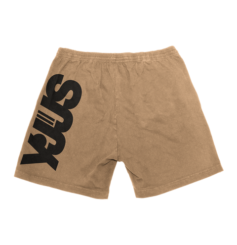 After Class JJ Shorts (Kahkeys)